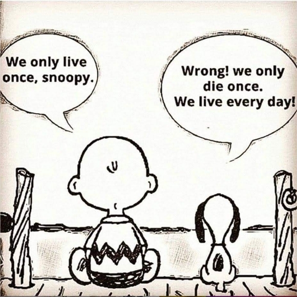 Clothes - Picture 3 of 4